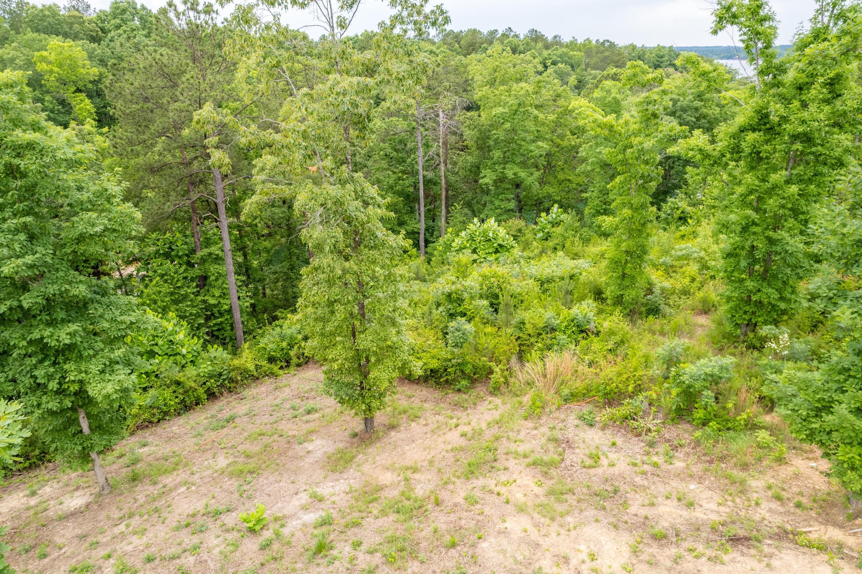 24. Lot 5 Grand Vista Pointe