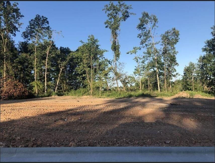 1. Lot 48 Anthony Park Subdivision Ph 4