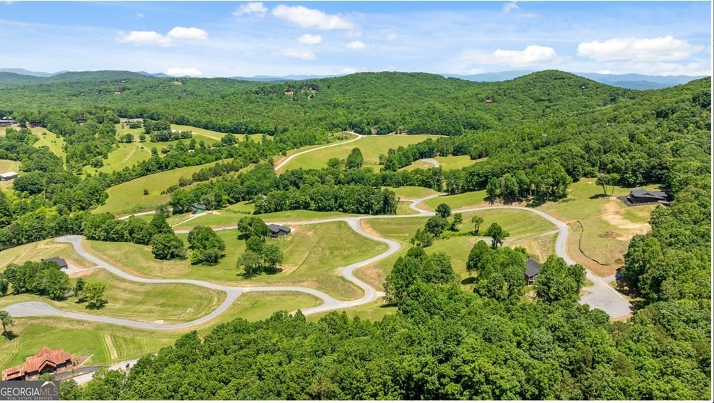 29. Lot 29 Big Valley Overlook