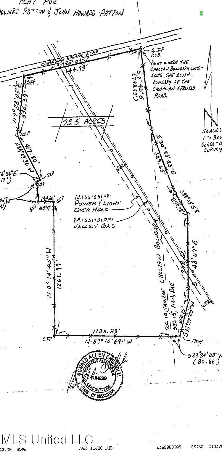 16. 8732 Castalian Springs Road