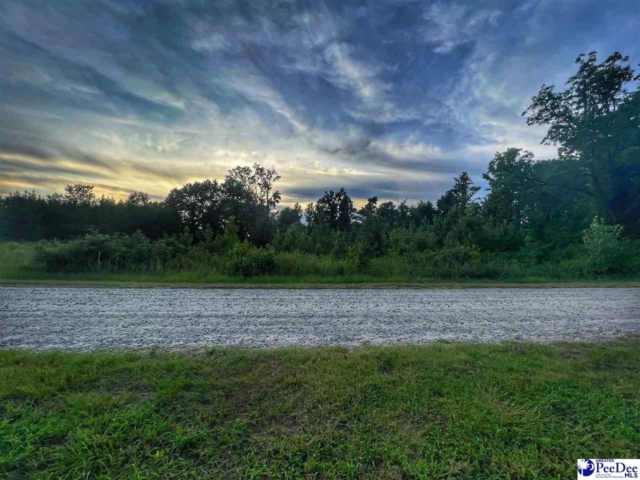 1. Lot 14 S Mclaurin Lake Circle