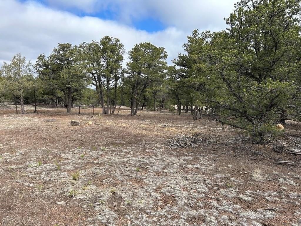 3. Tbd Pronghorn Path