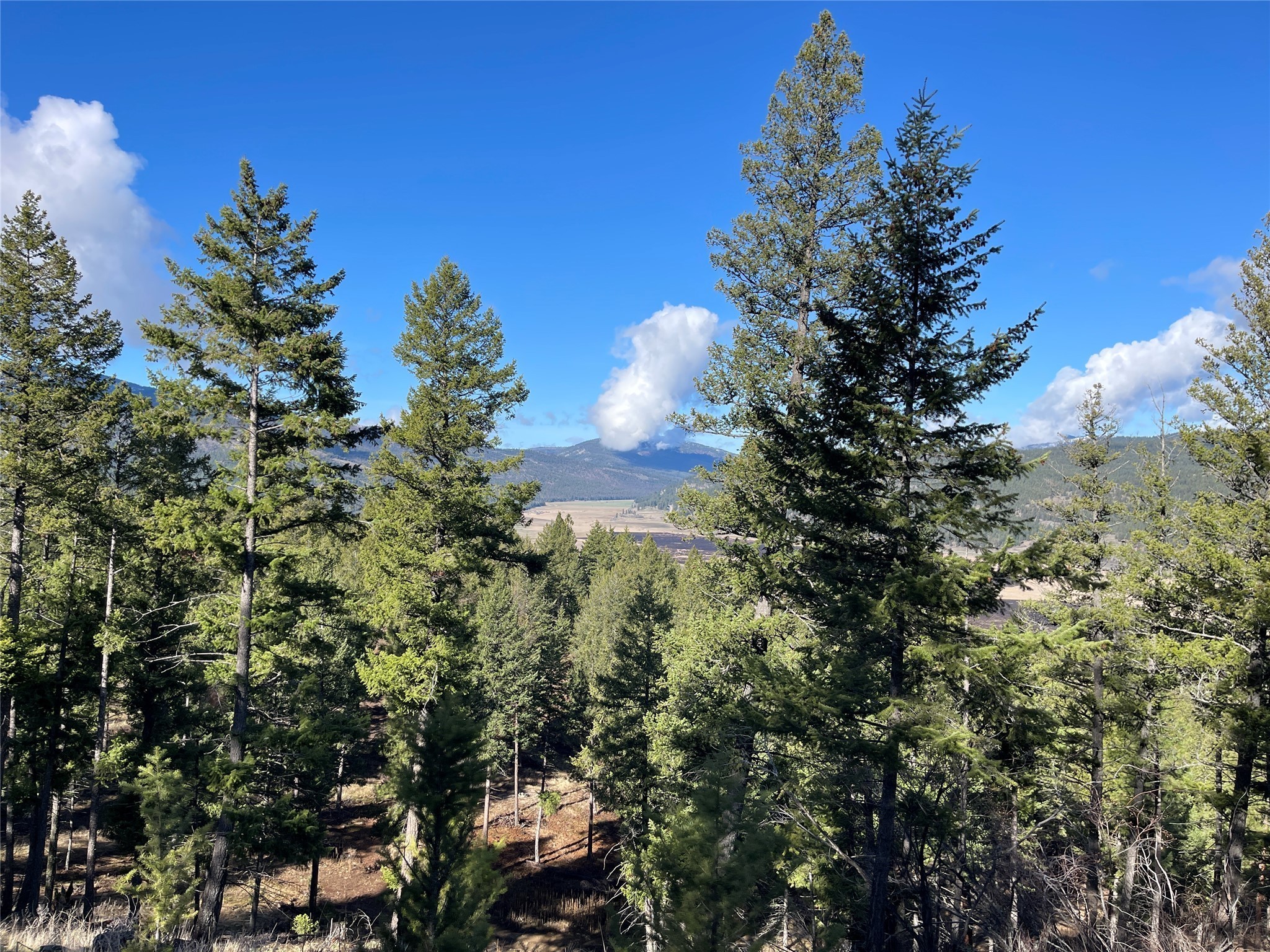 45. 3165 Ponderosa Ridge Road