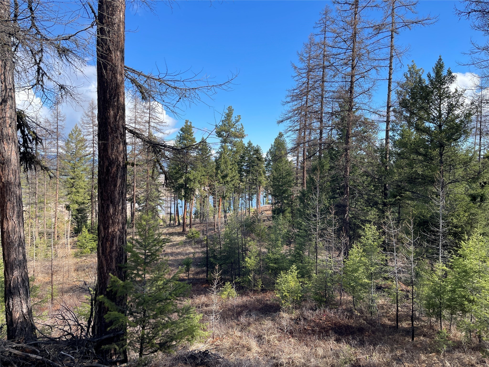 28. 3165 Ponderosa Ridge Road