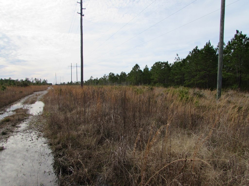 3. 40.6 Acres West Street