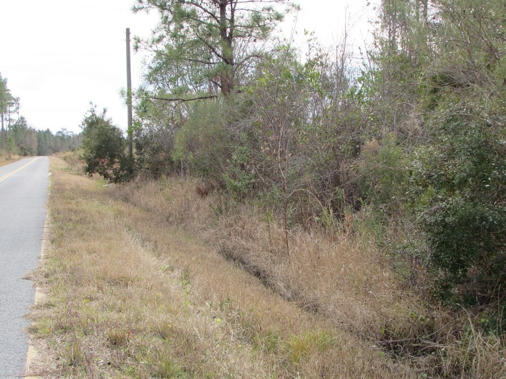 8. 40.6 Ac West Street