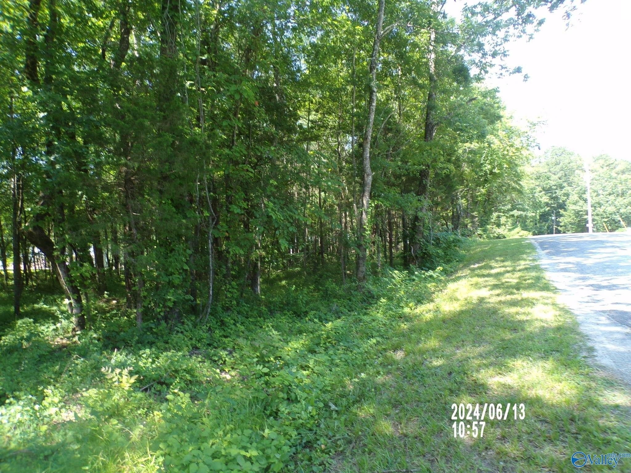 2. .31 Ac Lot Hackberry Lane