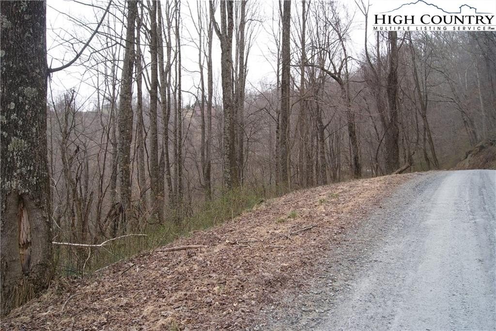 2. Lot 56 Toms Knob Road