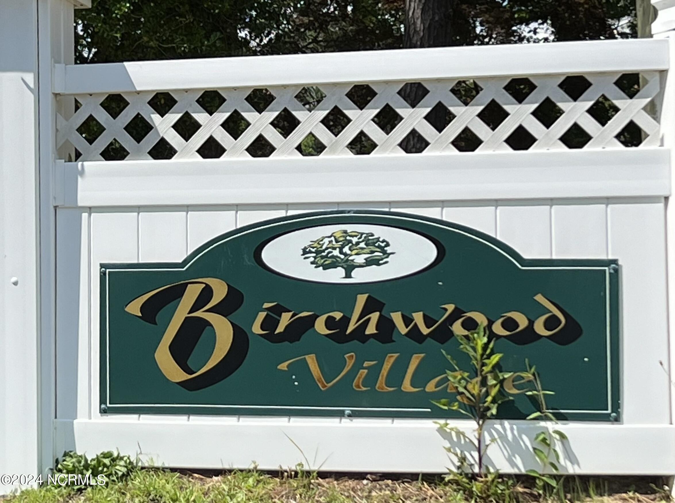 15. 1013 Birchwood Village Drive