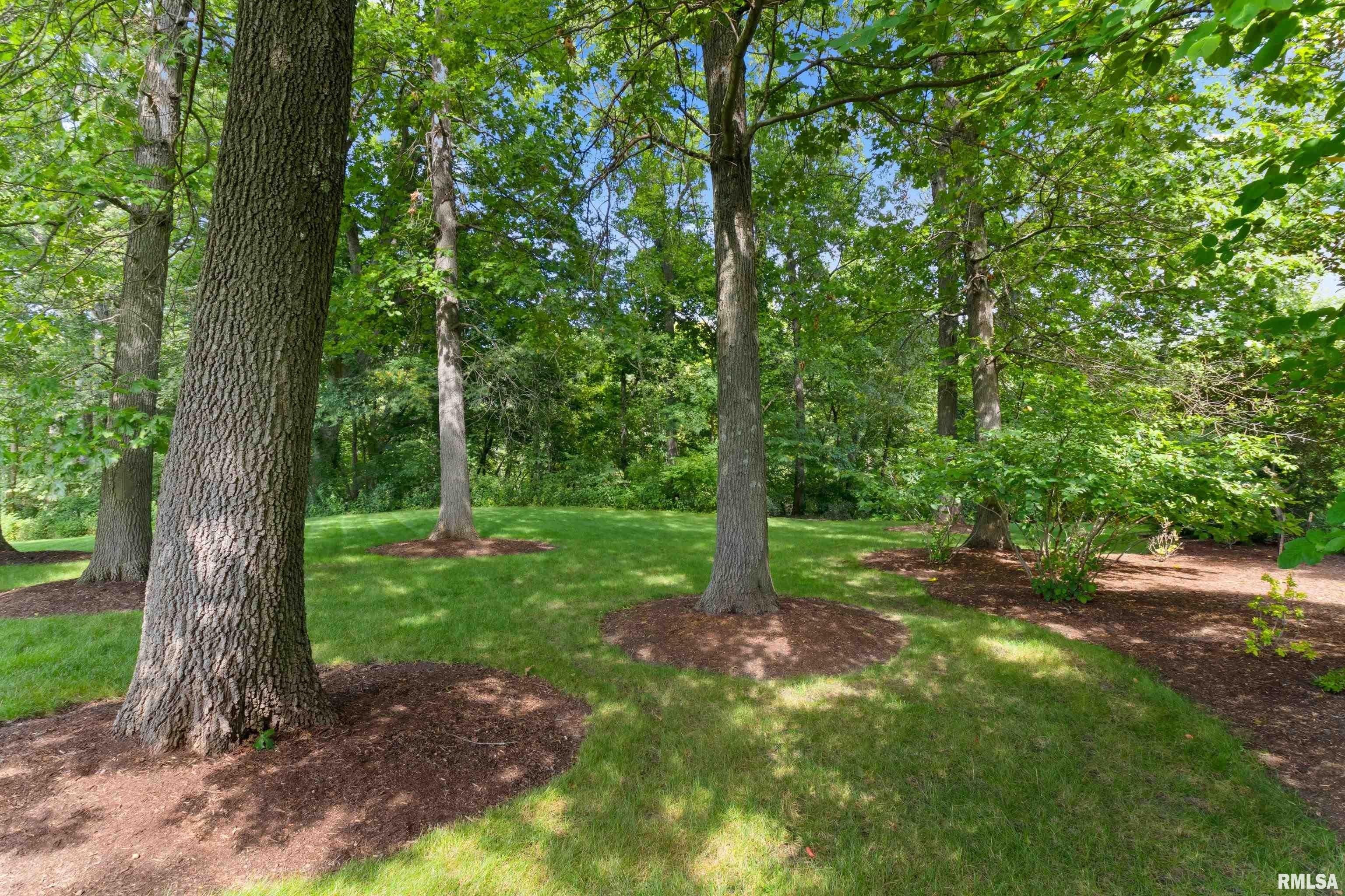 4. Lot 58 W Forestwood Drive