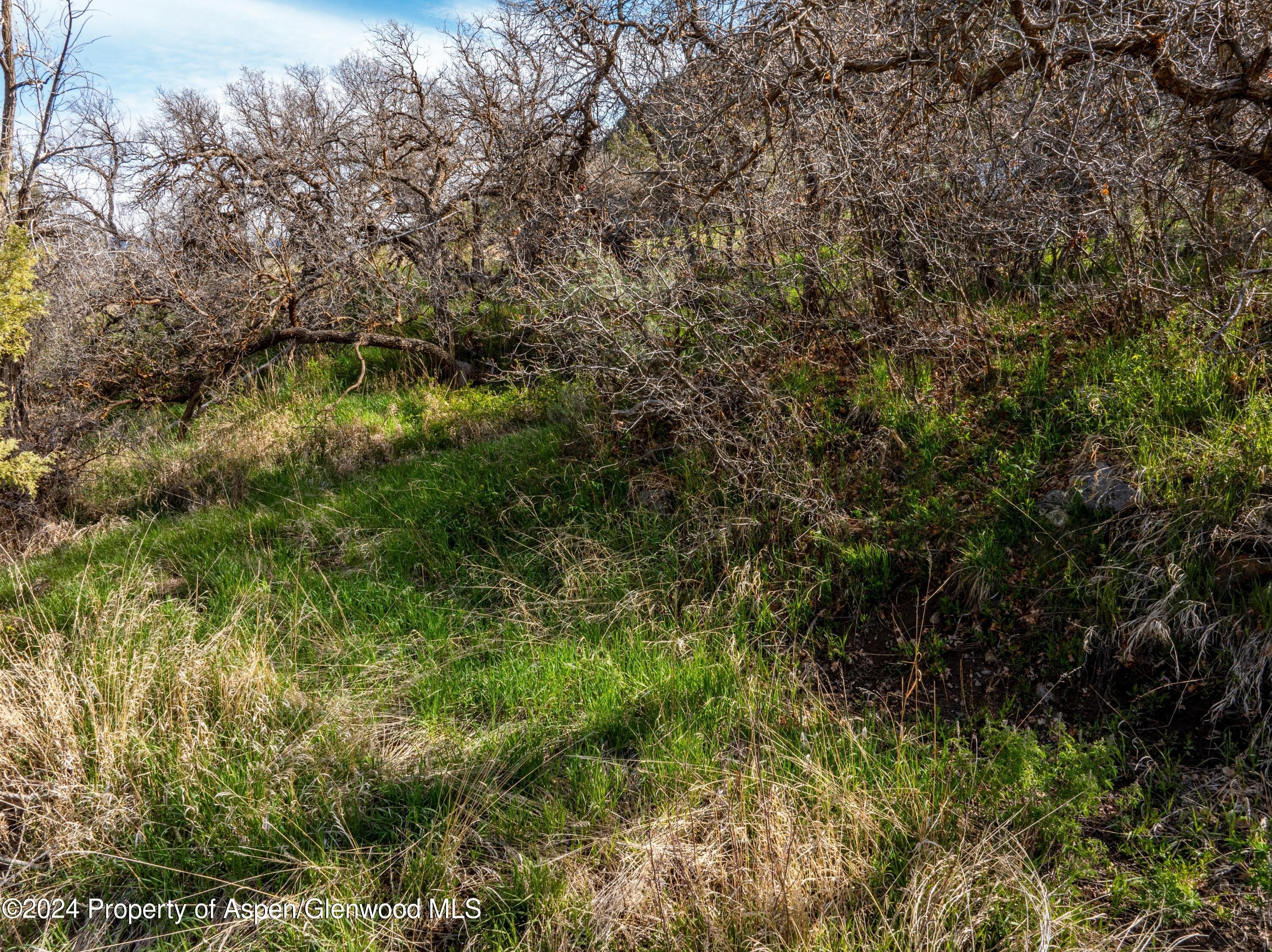 10. Lot 1 Divide Creek Road