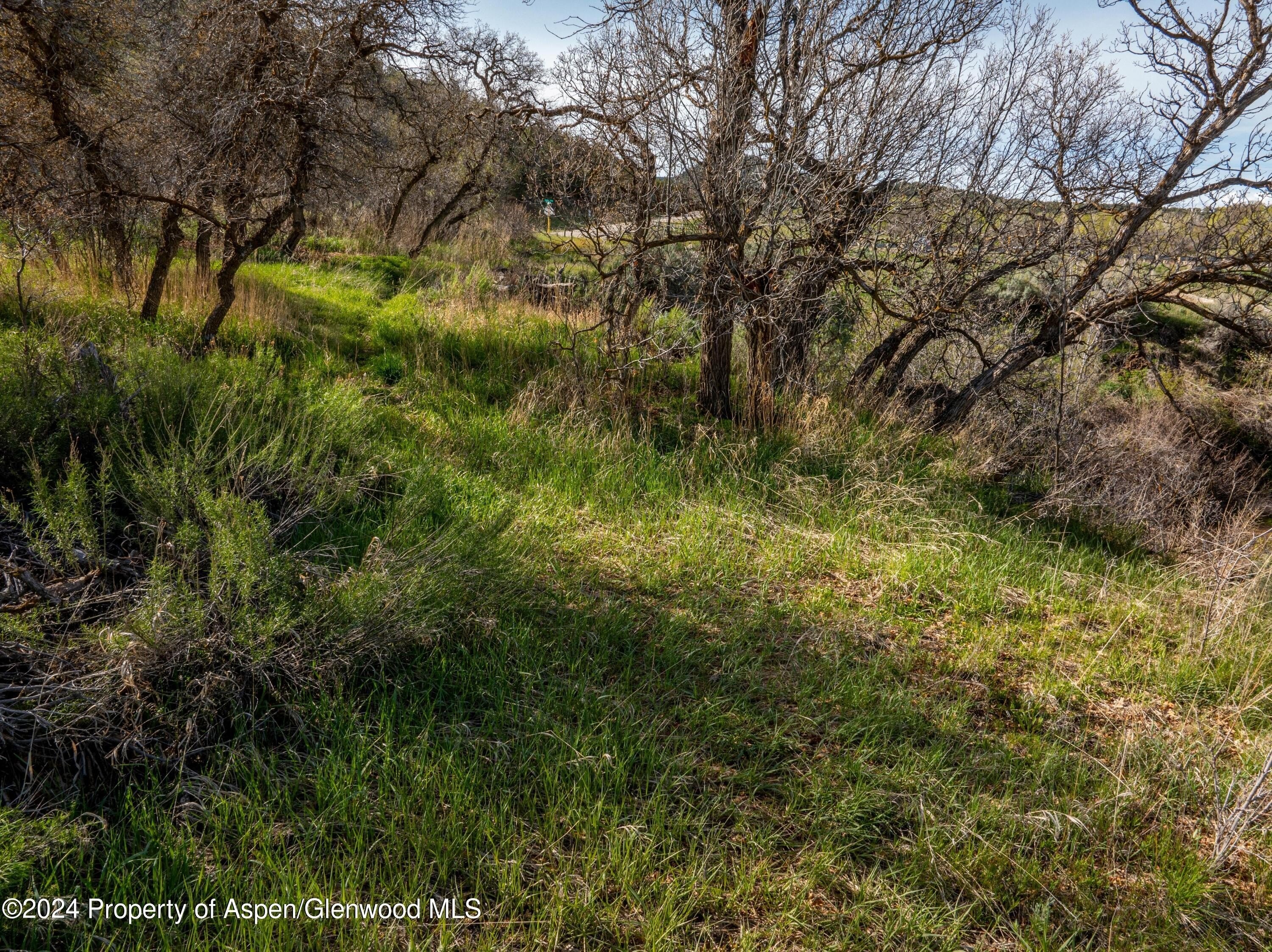 7. Lot 1 Divide Creek Road