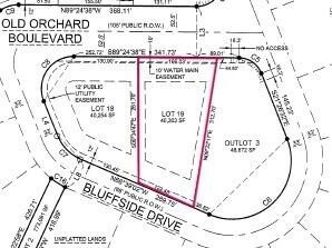 2. Lt19 Old Orchard Blvd