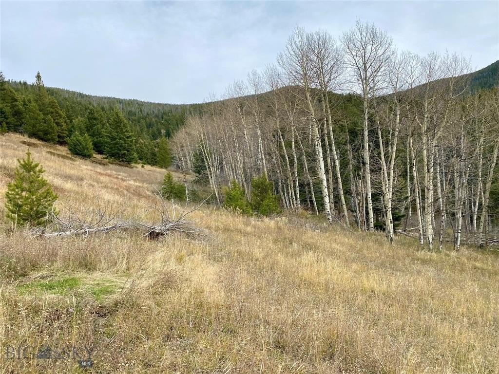 3. Lot 34 Horse Canyon Road - Cold Spring