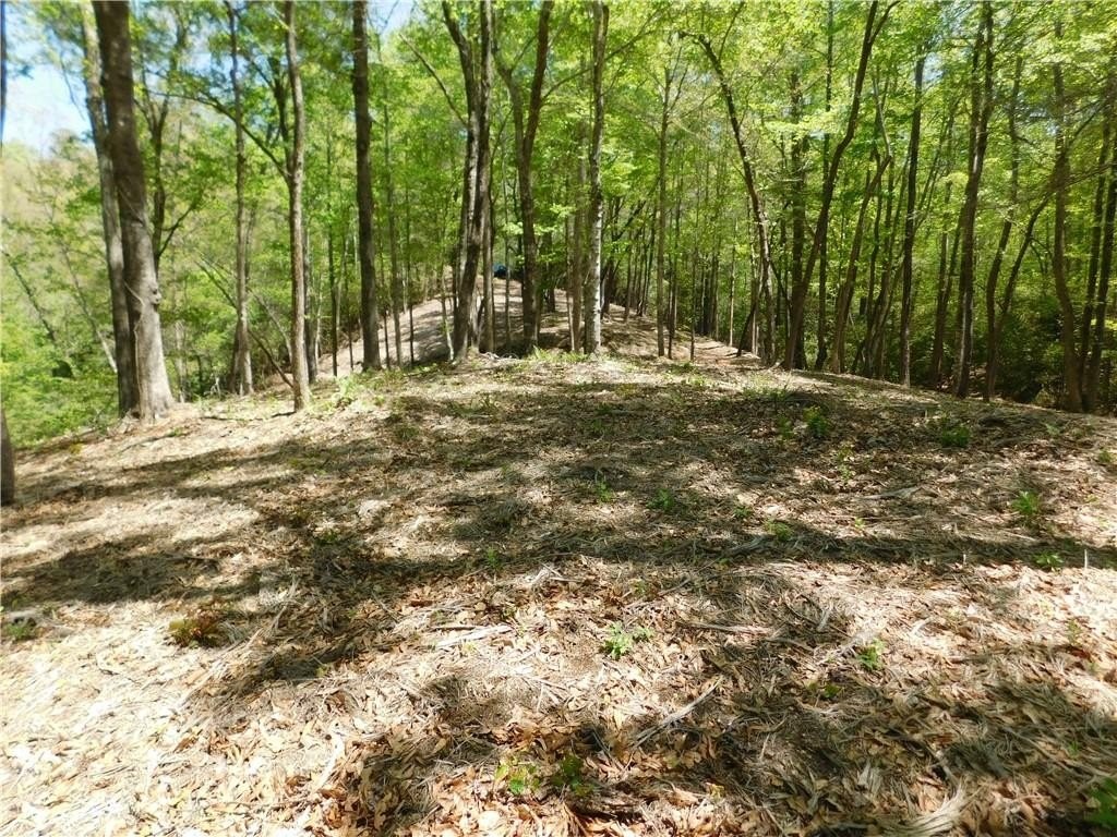 10. Lot 96 Cliffs South Parkway