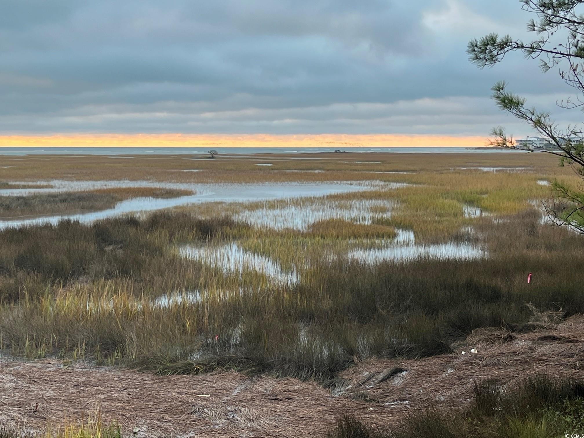 2. Tbd Brown Pelican Loop