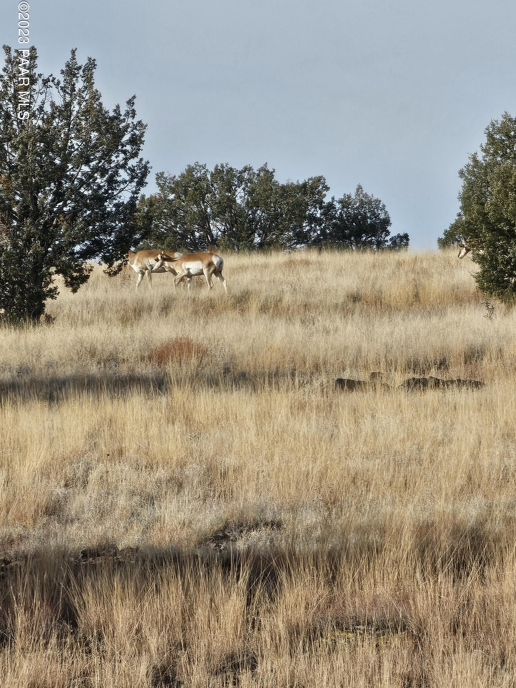 2. 00 N Off Of Picacho Butte Drive