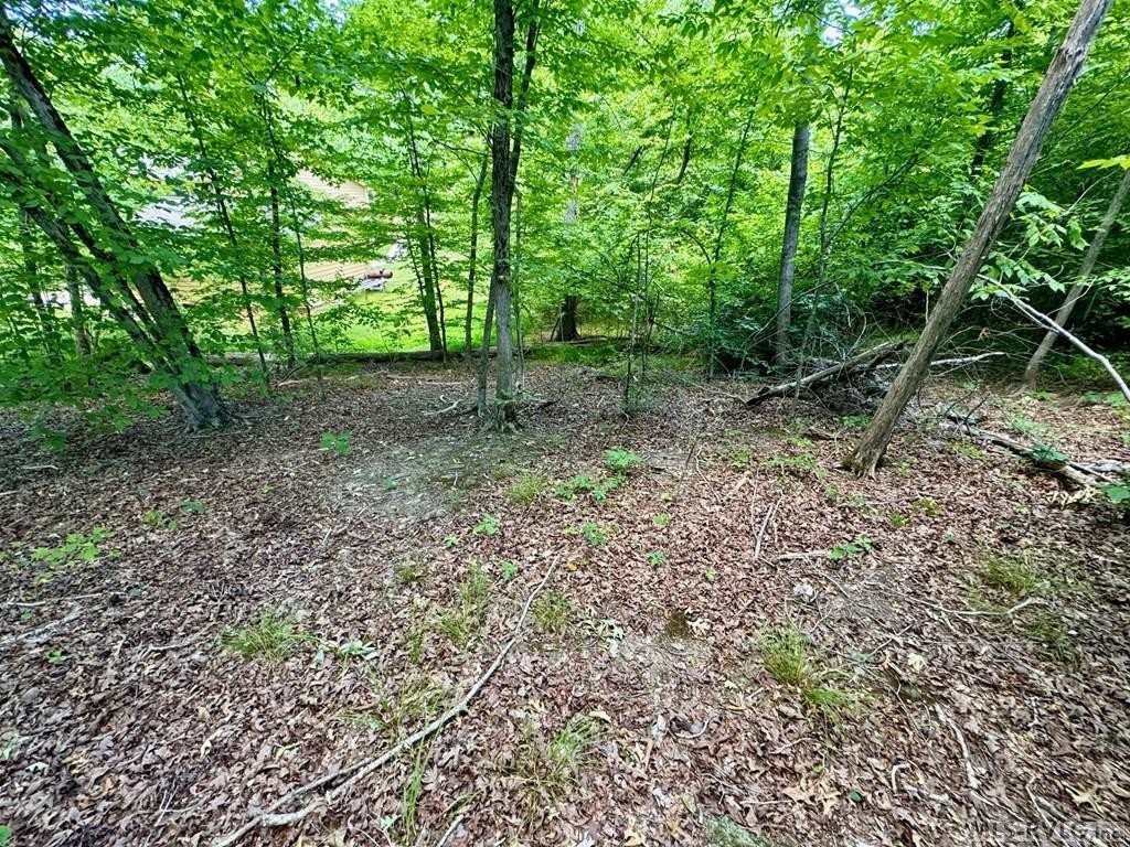 12. Lot 63 Cherokee Trail