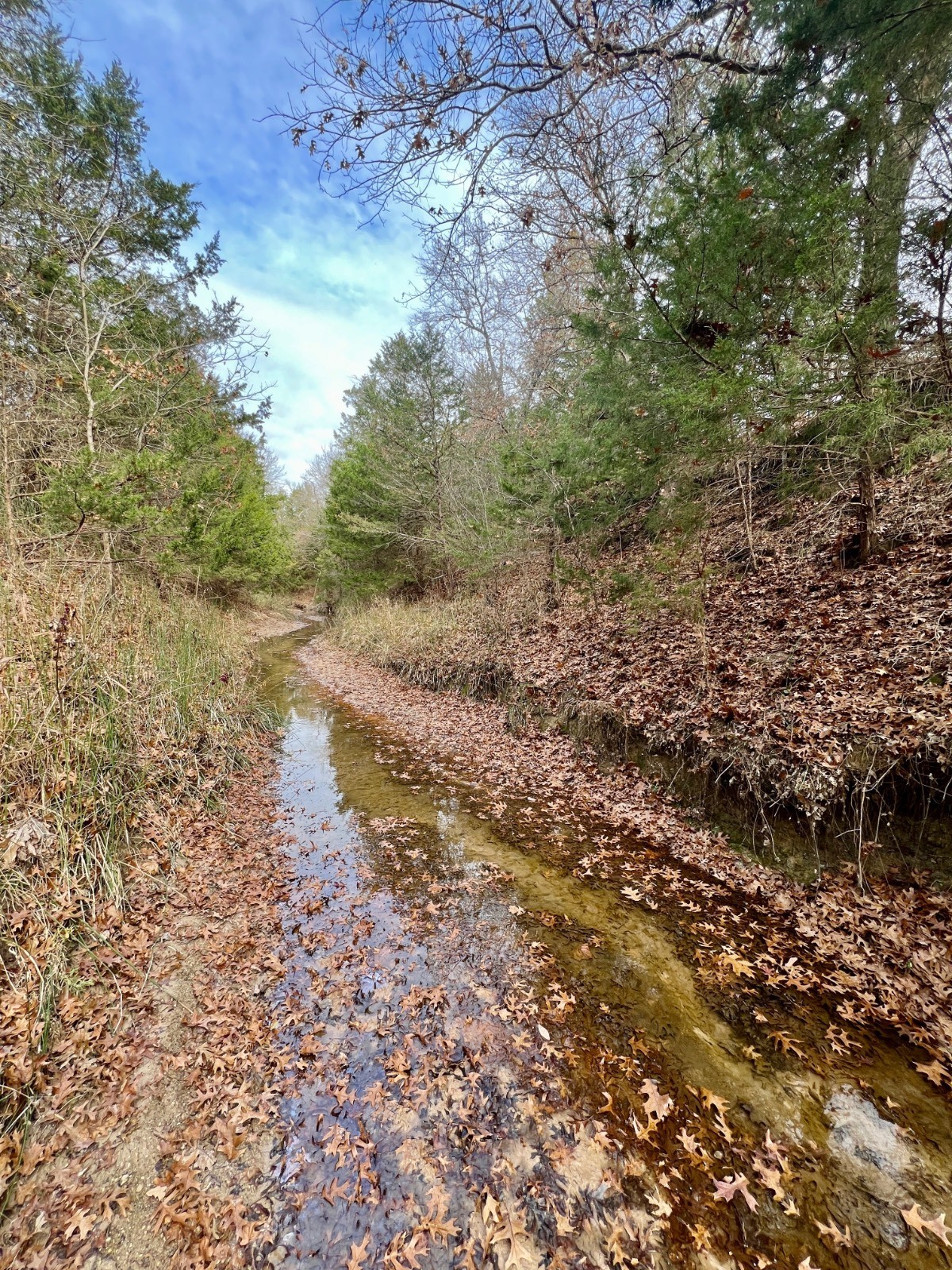 7. Home (60 Acres) (1 Mile East Of Beautiful Lake Murray)