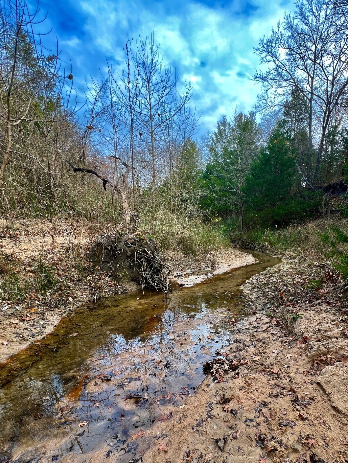 6. Home (60 Acres) 1 Mile East Of Beautiful Lake Murray