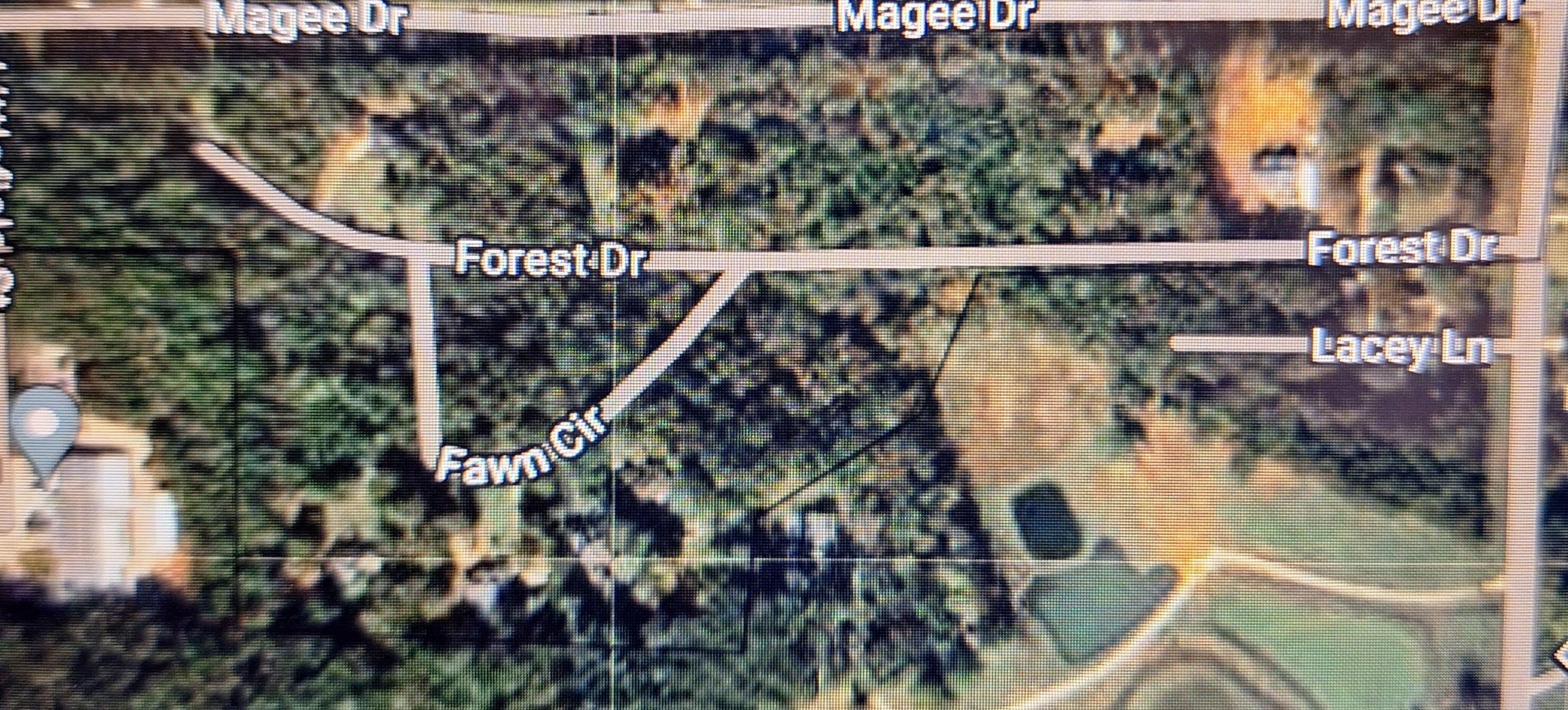 3. Lot 3 Forest Dr.