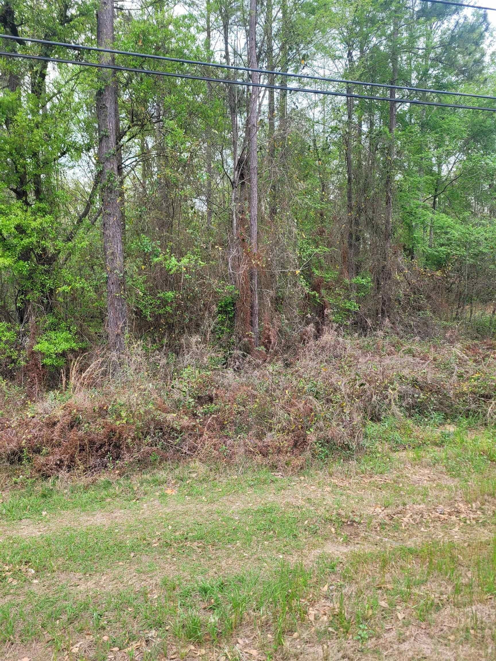 1. Lot 1 Faceville Highway