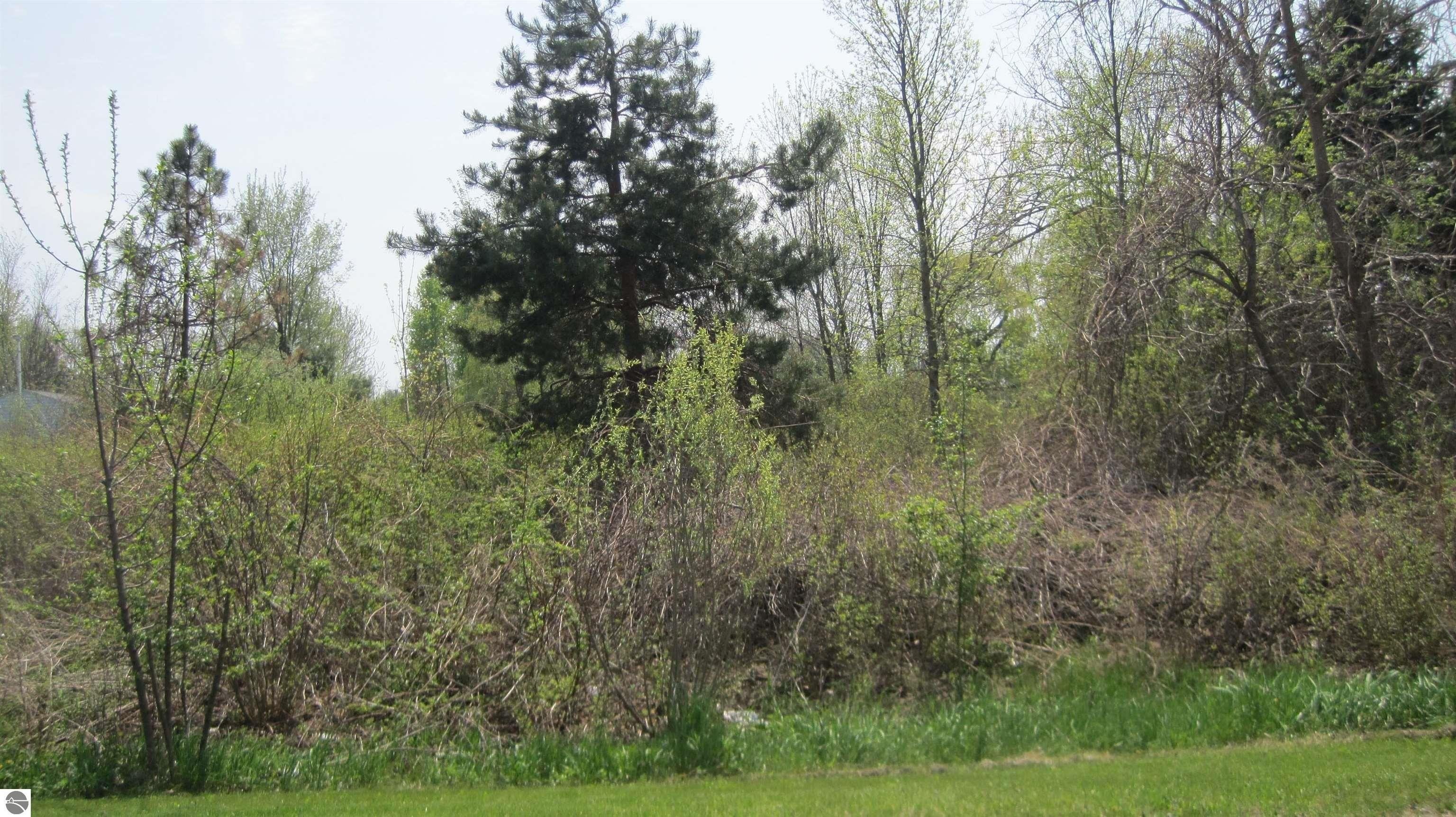 1. Tbd Lot 49 Leona Drive