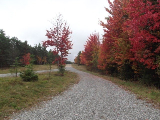 3. Lot 5 Daigneau Trail