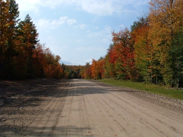 4. Lot 5 Daigneau Trail