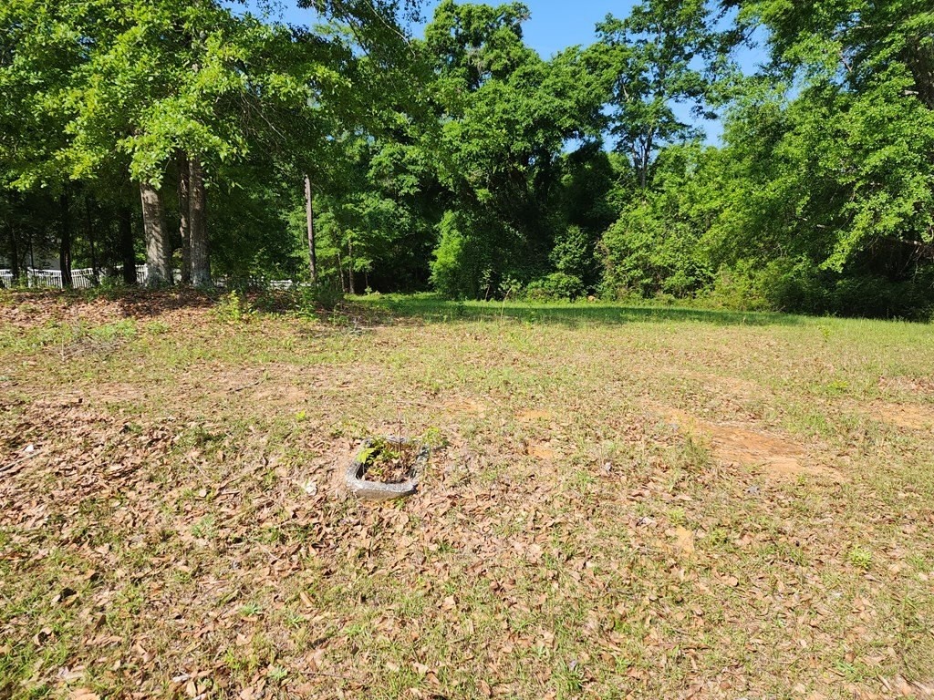 2. Lot 38 Cypress Cove