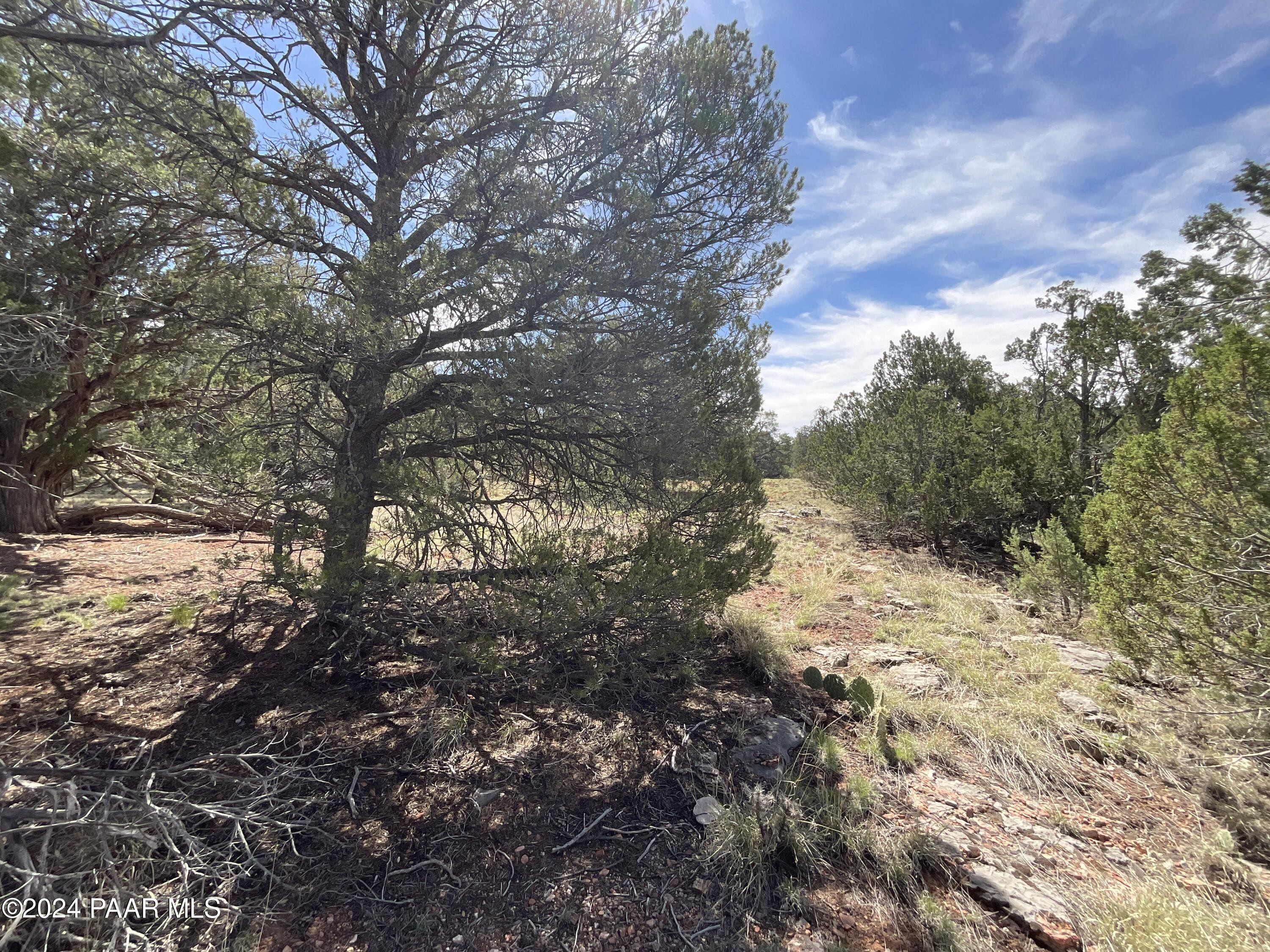2. Lot 162 Forest Acres