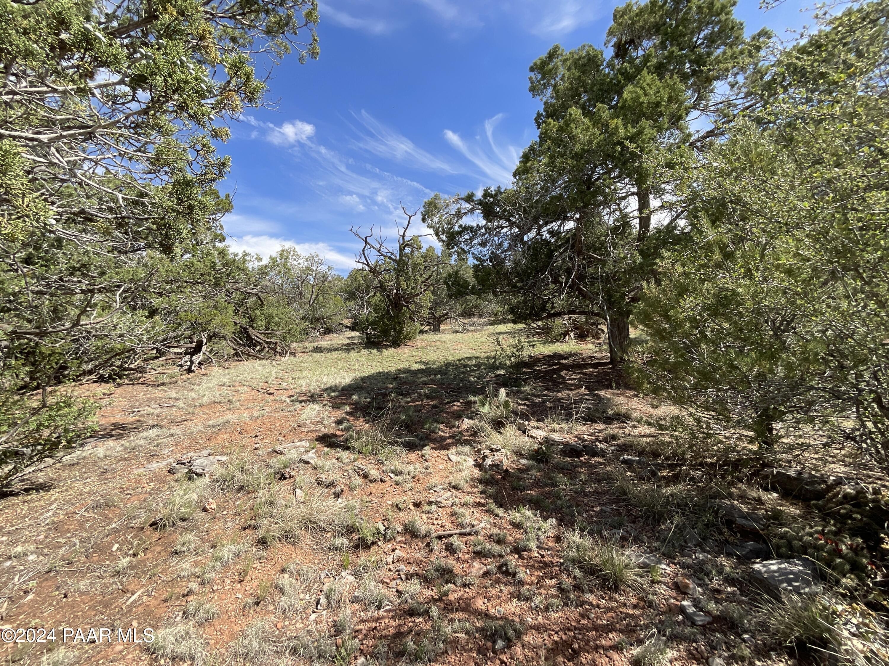 1. Lot 162 Forest Acres