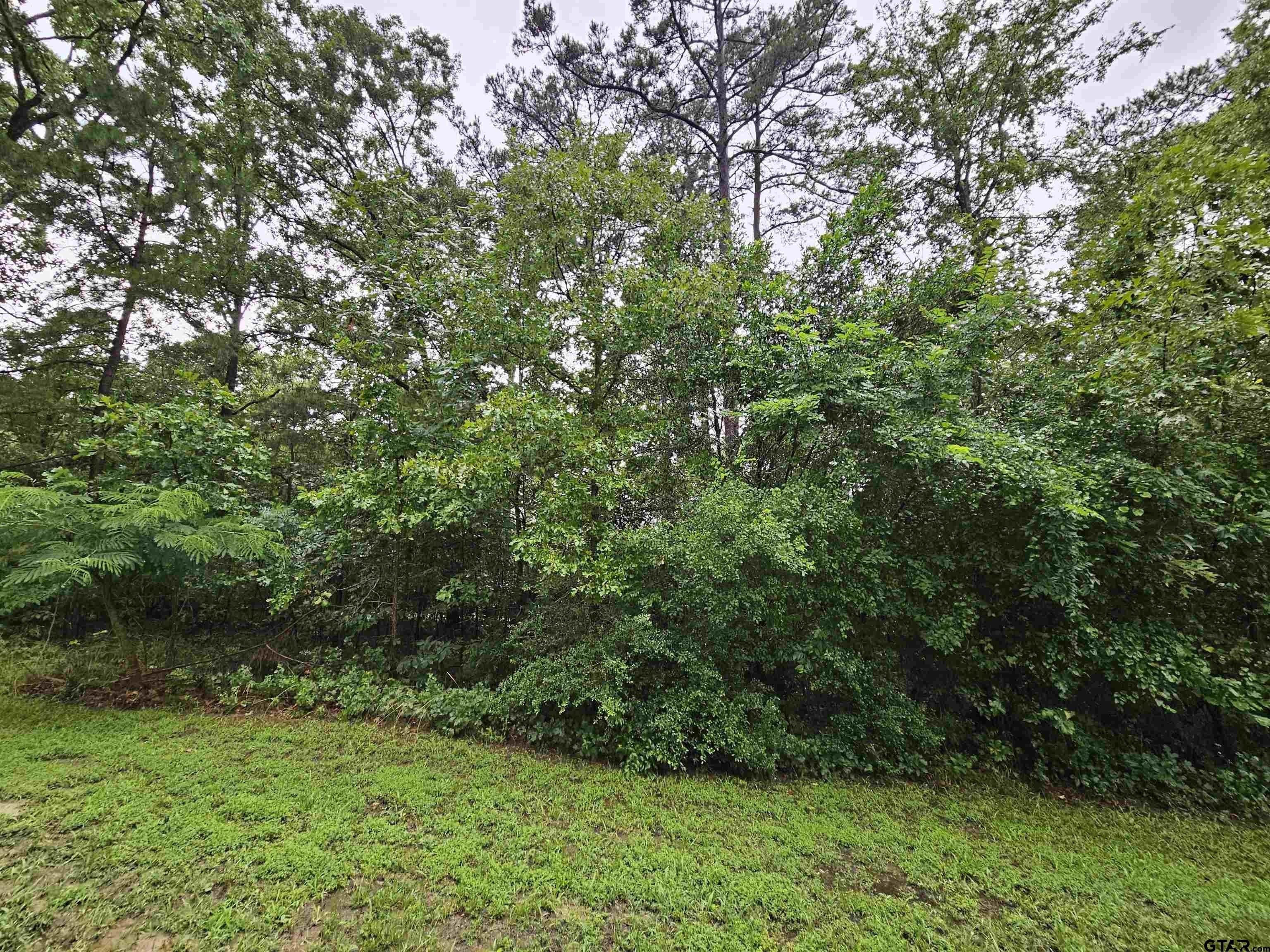 2. Tbd Lot 266 Ponce De Leon Drive