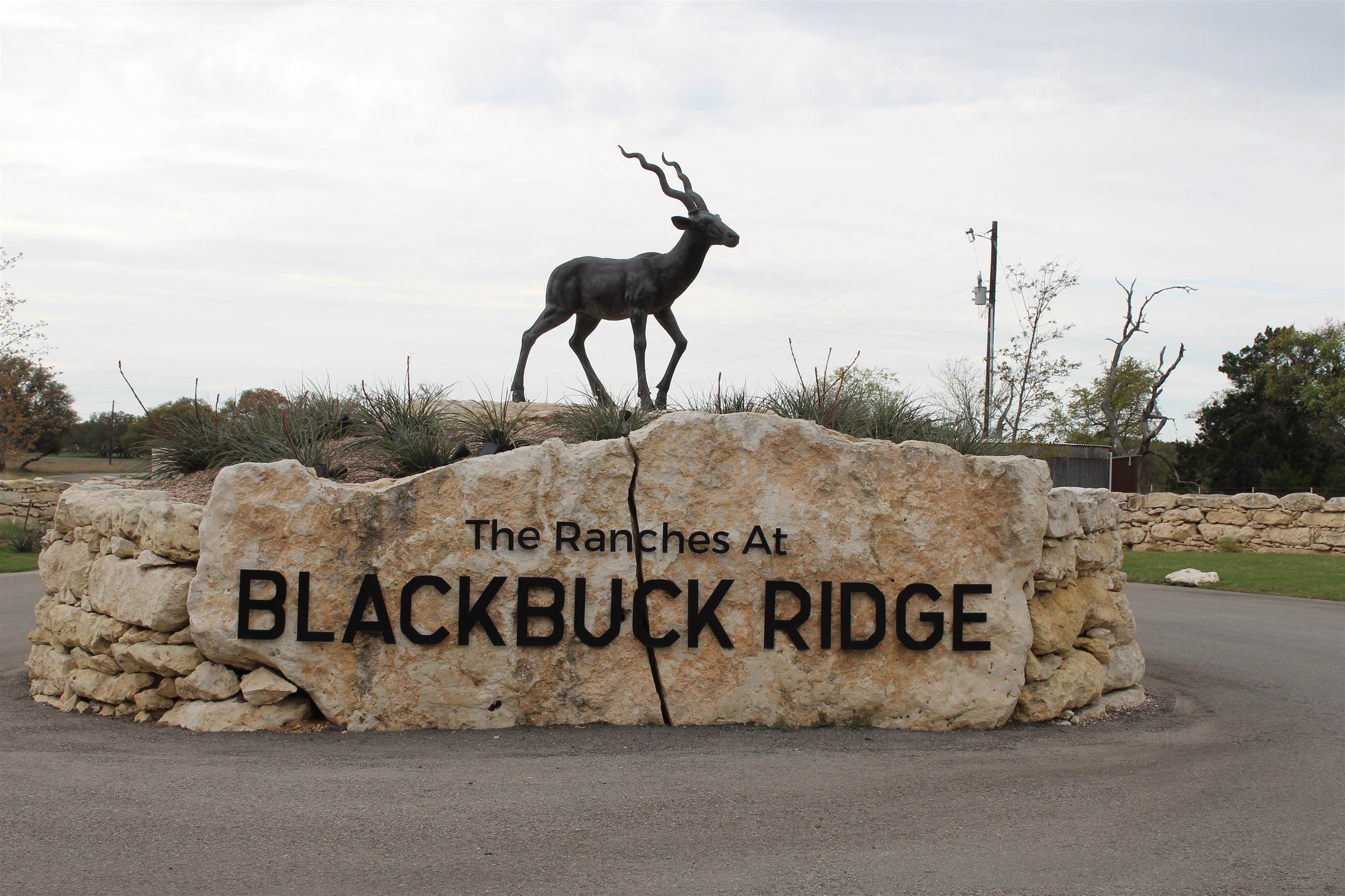 1. 000 Black Buck Ridge