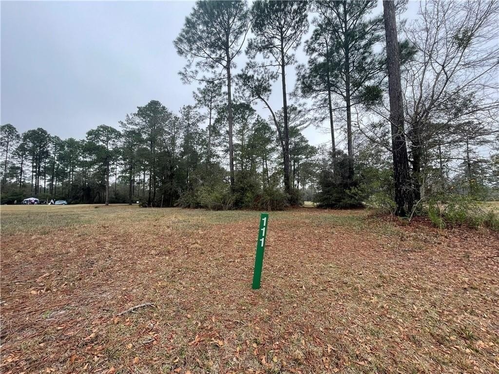 4. Lot 111 Sapelo Park Drive