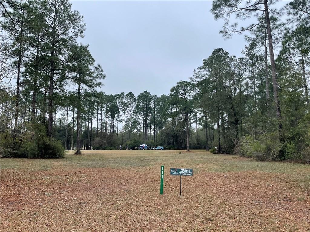 5. Lot 111 Sapelo Park Drive