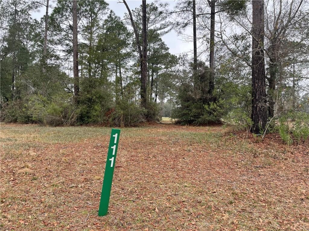 6. Lot 111 Sapelo Park Drive