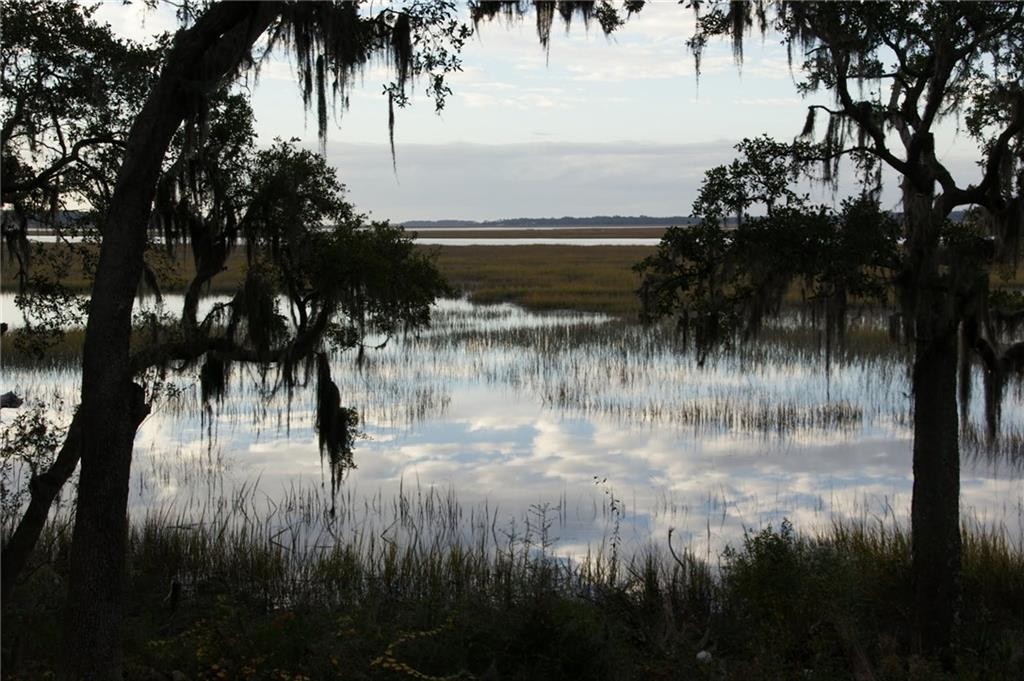 7. Lot 111 Sapelo Park Drive