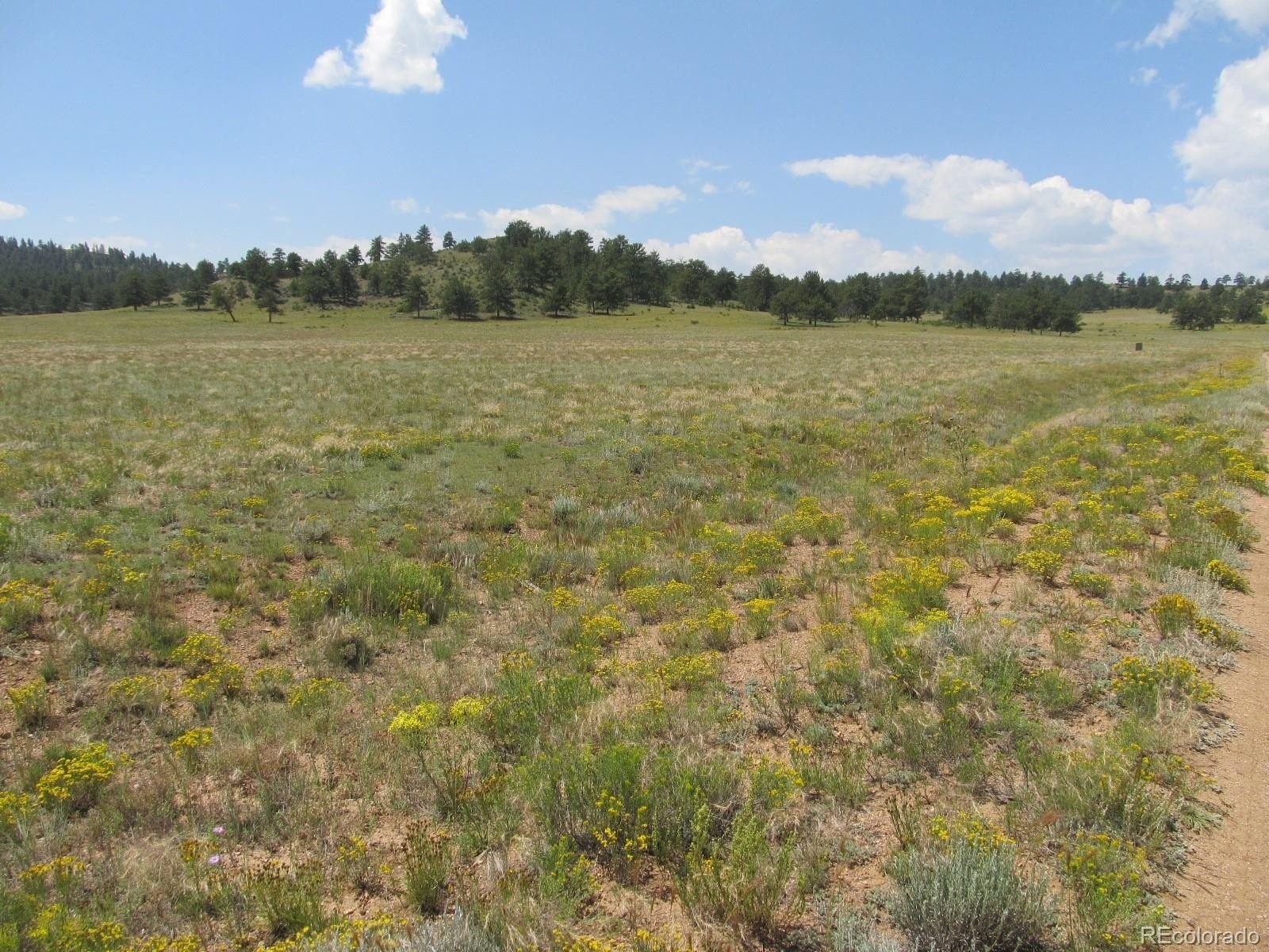 1. Lot 5211 Arikara Trail