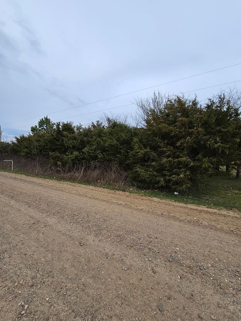 1. Lot 27 County Road 7425