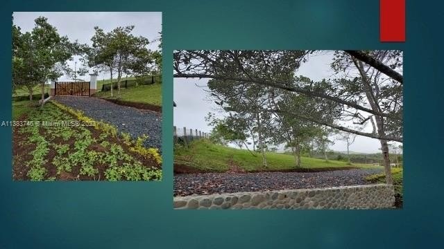 26. Valle Del Cauca Colombia