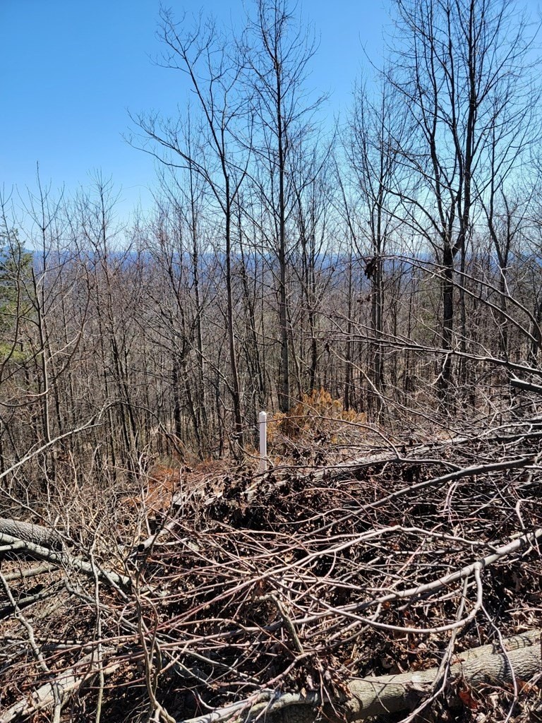 2. Tbd Reflection Point Trail