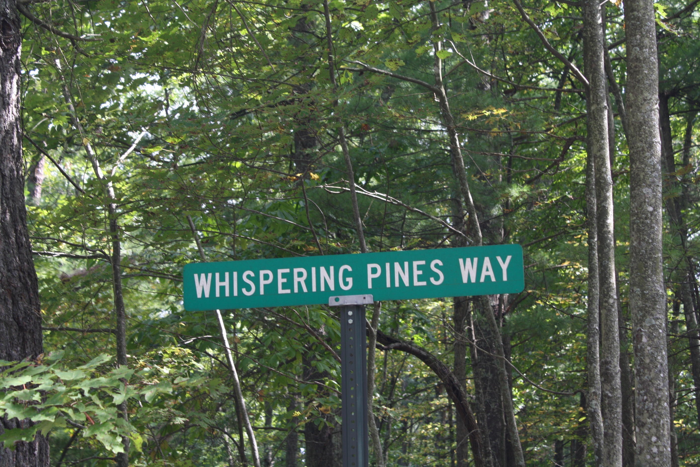 5. Lot 40 Whispering Pines Way