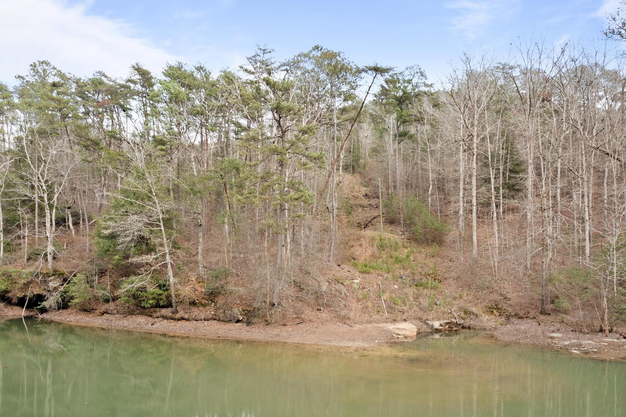 1. Lot 40 Sipsey Overlook