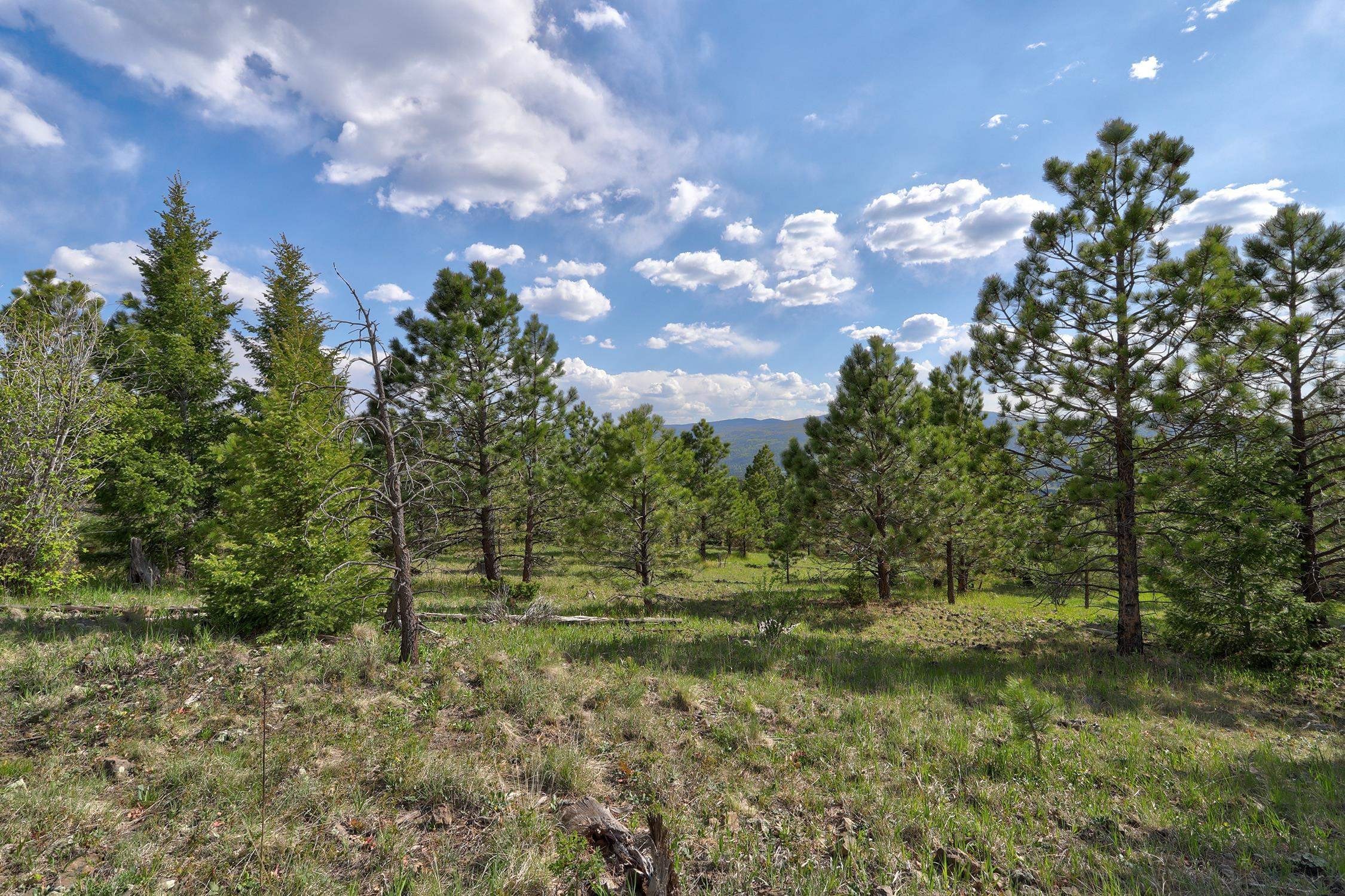 2. Lot 131 Beaver Loop