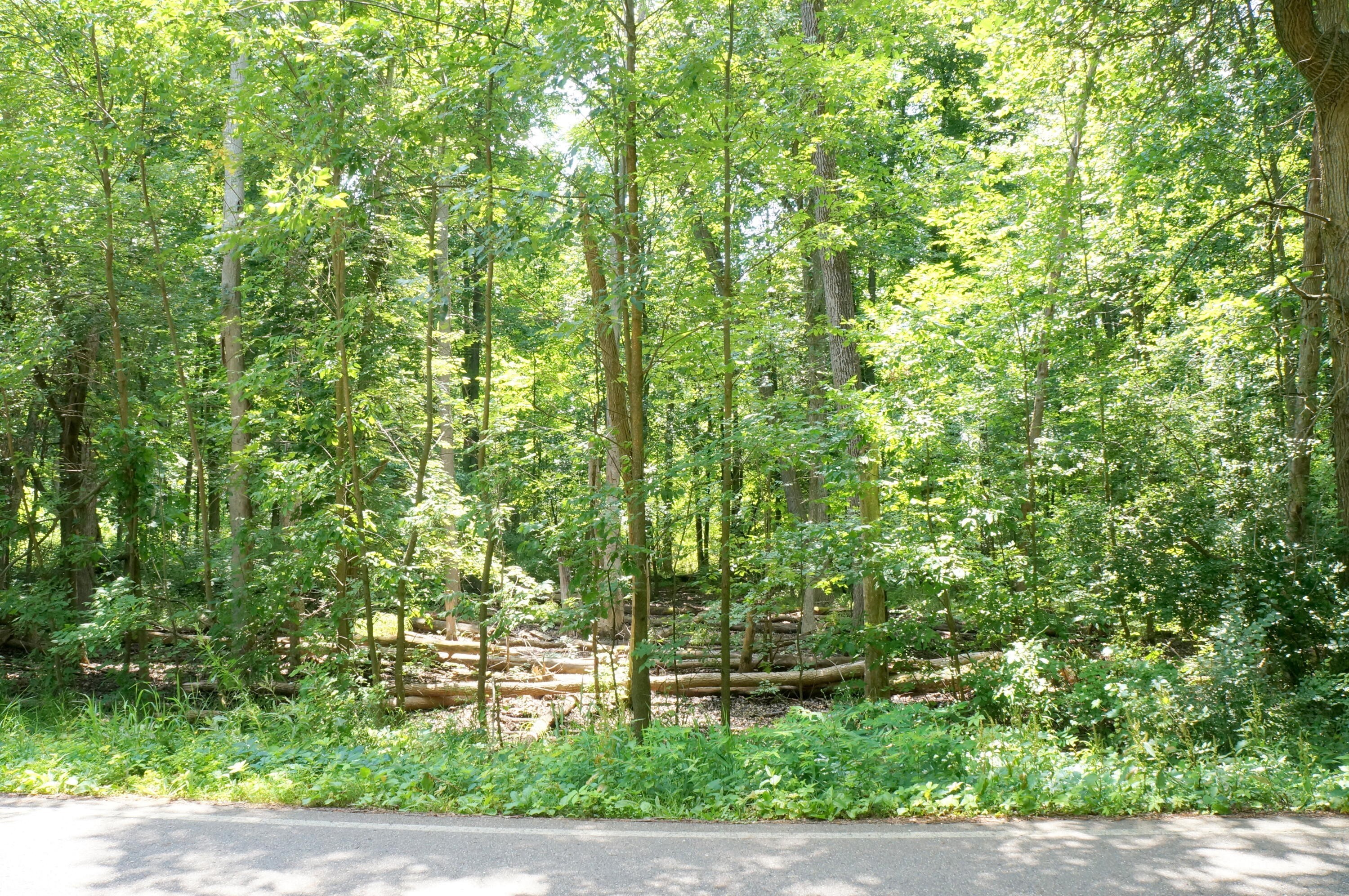 1. Lot 2 Leora Lane