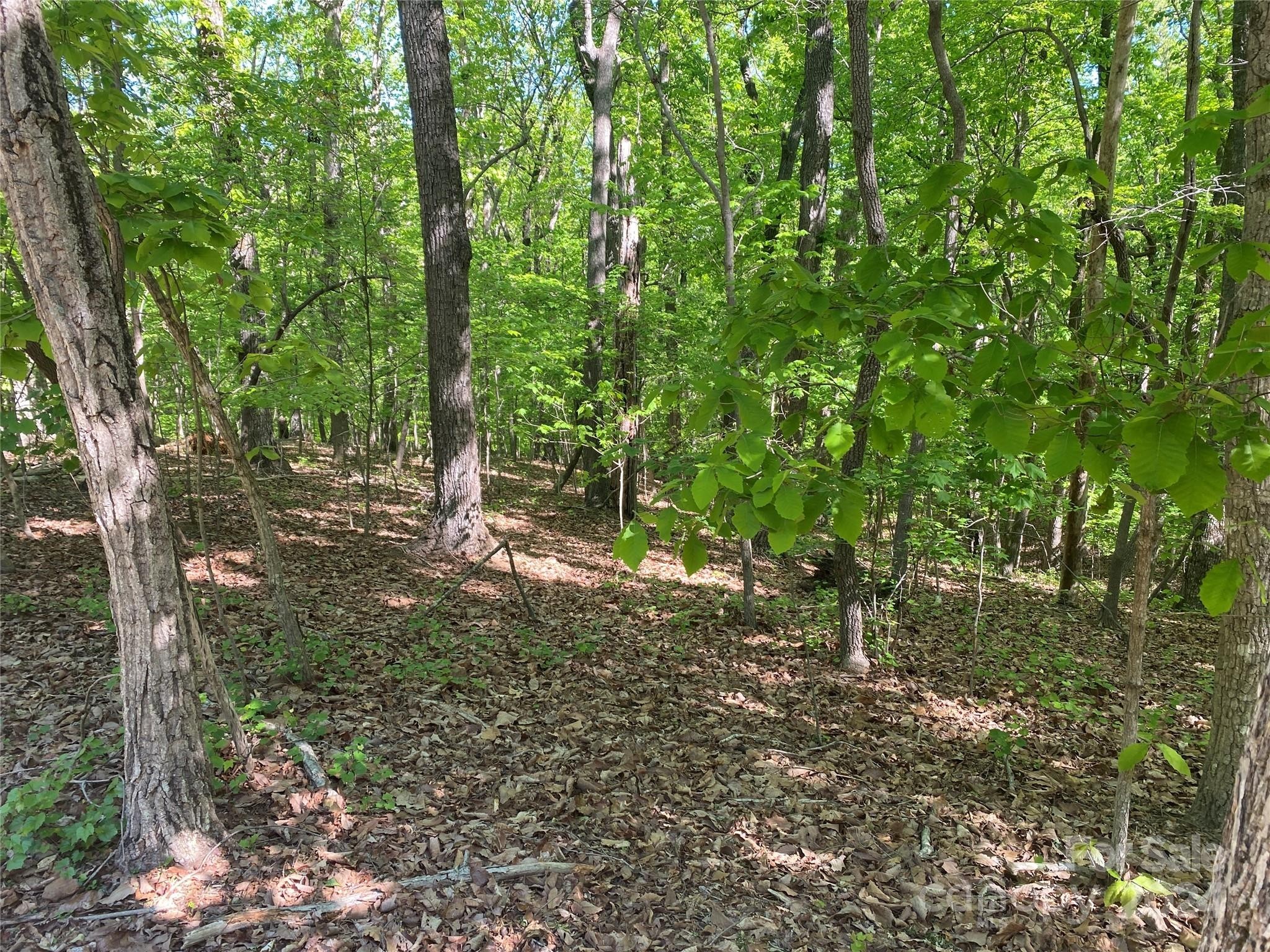 2. Lot 2123 Laurel Drive