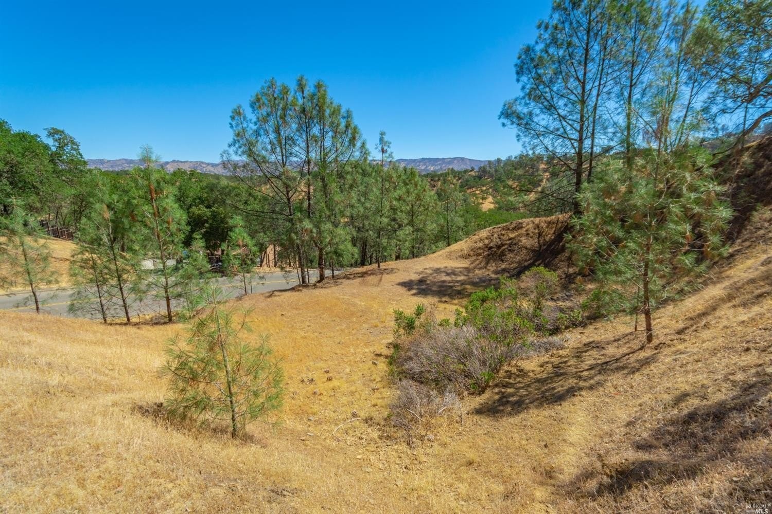 12. 1268 Steele Canyon Road