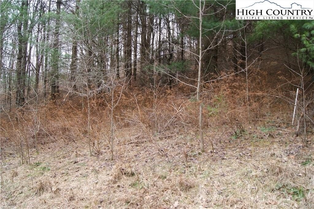 2. Lot 62 Laurel Mountain Drive