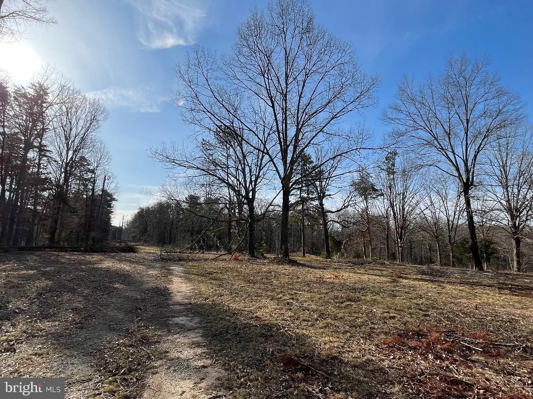 2. Lot C4 Kentucky Springs Rd